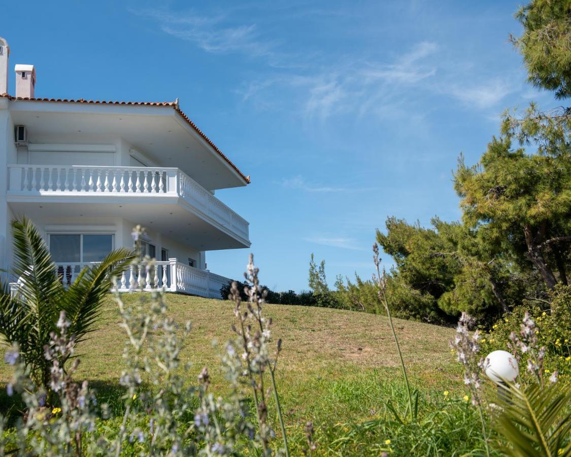 Sounio Golden View Villas Sounion Eksteriør billede